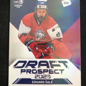 2022/2023 Moje Kartičky Reprezentace Draft Prospect Rainbow DP-1 Eduard Šalé Inzert