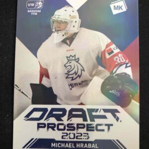 2022/2023 Moje Kartičky Reprezentace Draft Prospect Rainbow DP-2 Michael Hrabal Inzert