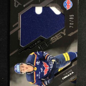 2025/2026 Sportzoo Serie 2 Game Jersey Silver GJ-CI Tomáš Cibulka Jersey 70/85