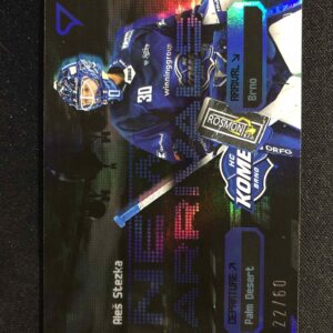 2025/2026 Sportzoo Serie 2 New Arrivals Grey NA-01 Aleš Stezka Inzert 22/60