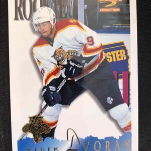 1995/1996 Pinnacle Score Summit Base 169 Radek Dvorak