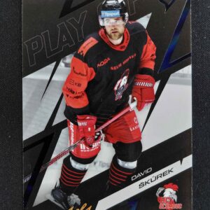 2025/2026 Sportzoo Play Off Charcoal Black 69 David Škůrek Paralel 1/1