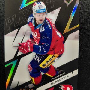 2025/2026 Sportzoo Play Off Amber Gold 12 Vladimír Sobotka Paralel 06/10