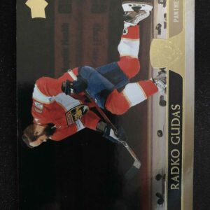 2020/2021 Upper Deck Extended Silver Foil 557 Radko Gudas Paralel