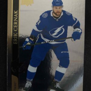 2020/2021 Upper Deck Extended Silver Foil 623 Erik Cernak Paralel