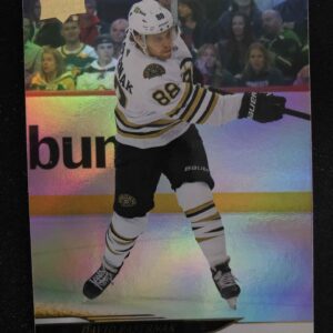 2024/2025 Upper Deck Series 2 Silver Foil 258 David Pastrňák Paralel
