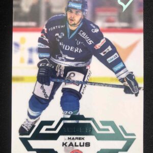 2023/2024 Sportzoo Serie 1 Ice Reflection 67 Marek Kalus Paralel /95