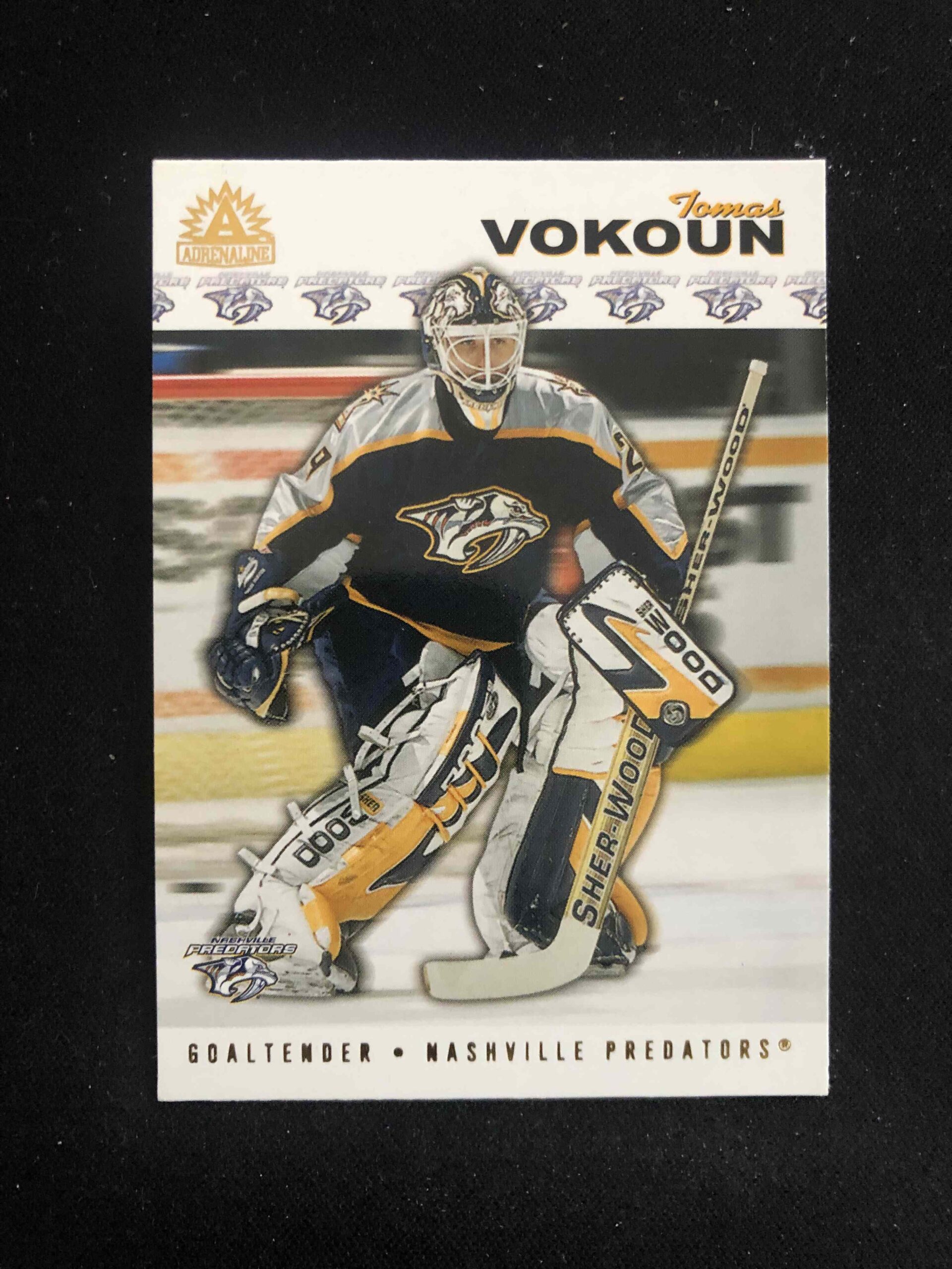 2001/2002 Pacific Adrenaline Base 108 Tomáš Vokoun