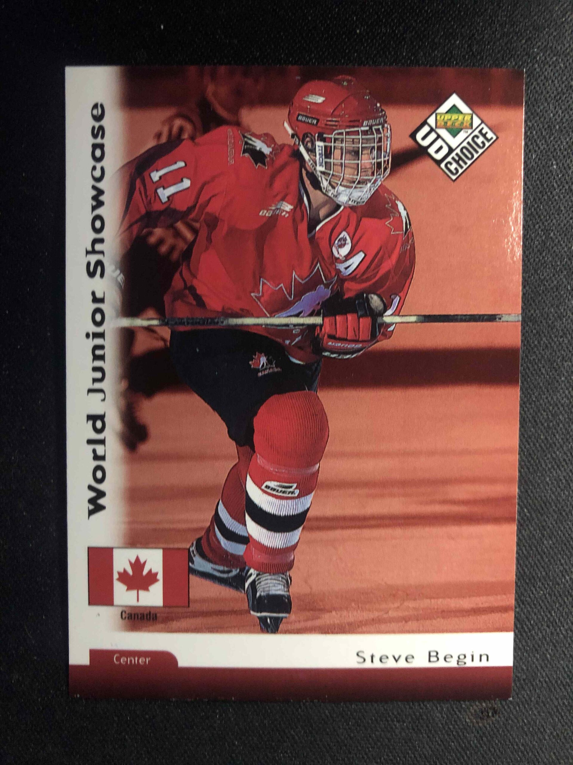 1998/1999 Upper Deck UD Choice Base 267 Steve Begin