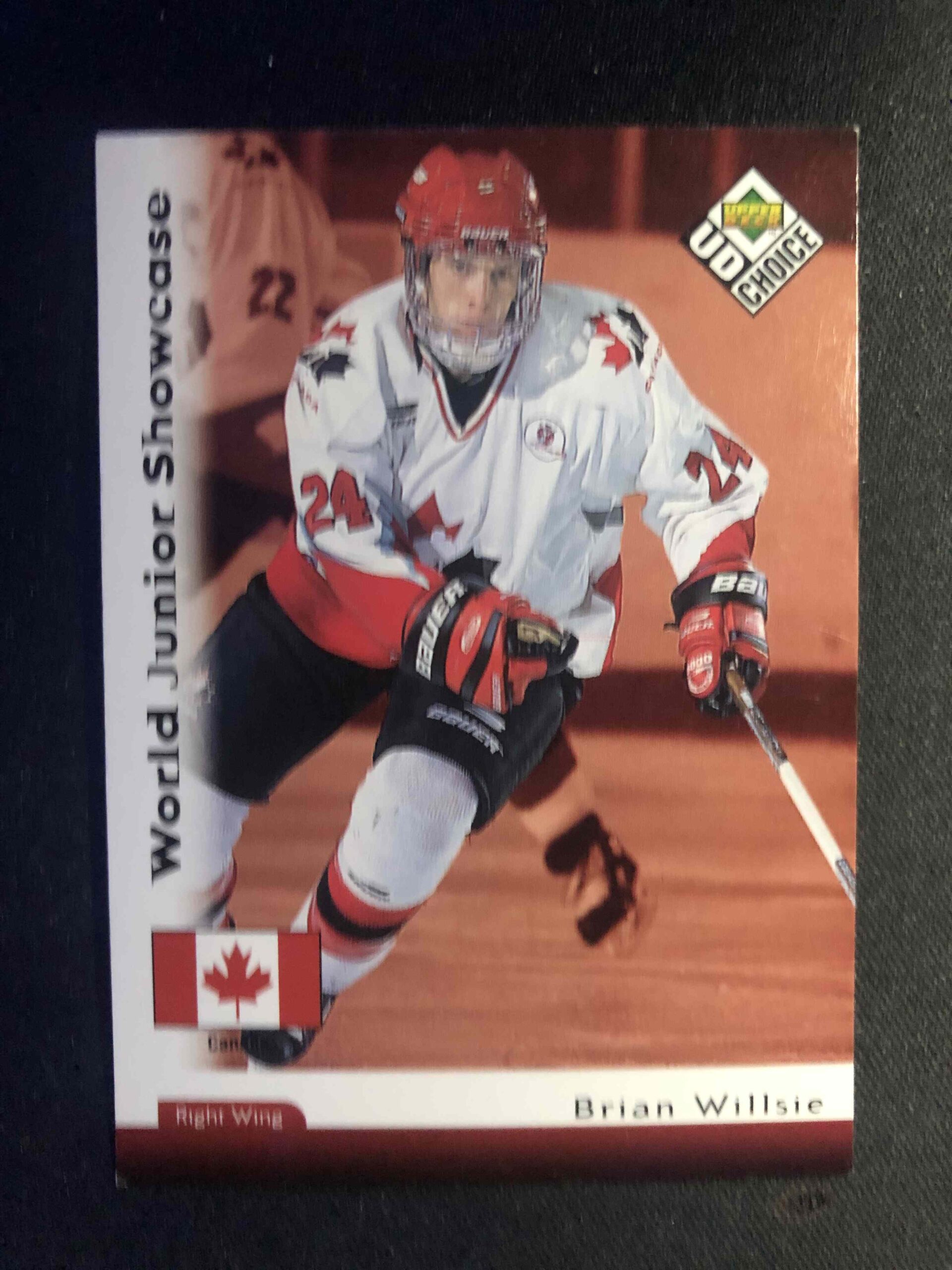 1998/1999 Upper Deck UD Choice Base 273 Brian Willsie