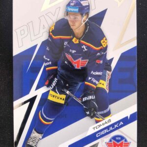 2025/2026 Sportzoo Play Off Base 32 Tomáš Cibulka