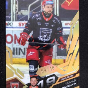2025/2026 Sportzoo Play Off Base Update Amber Gold 380 Tomáš Pavelka Paralel 09/10