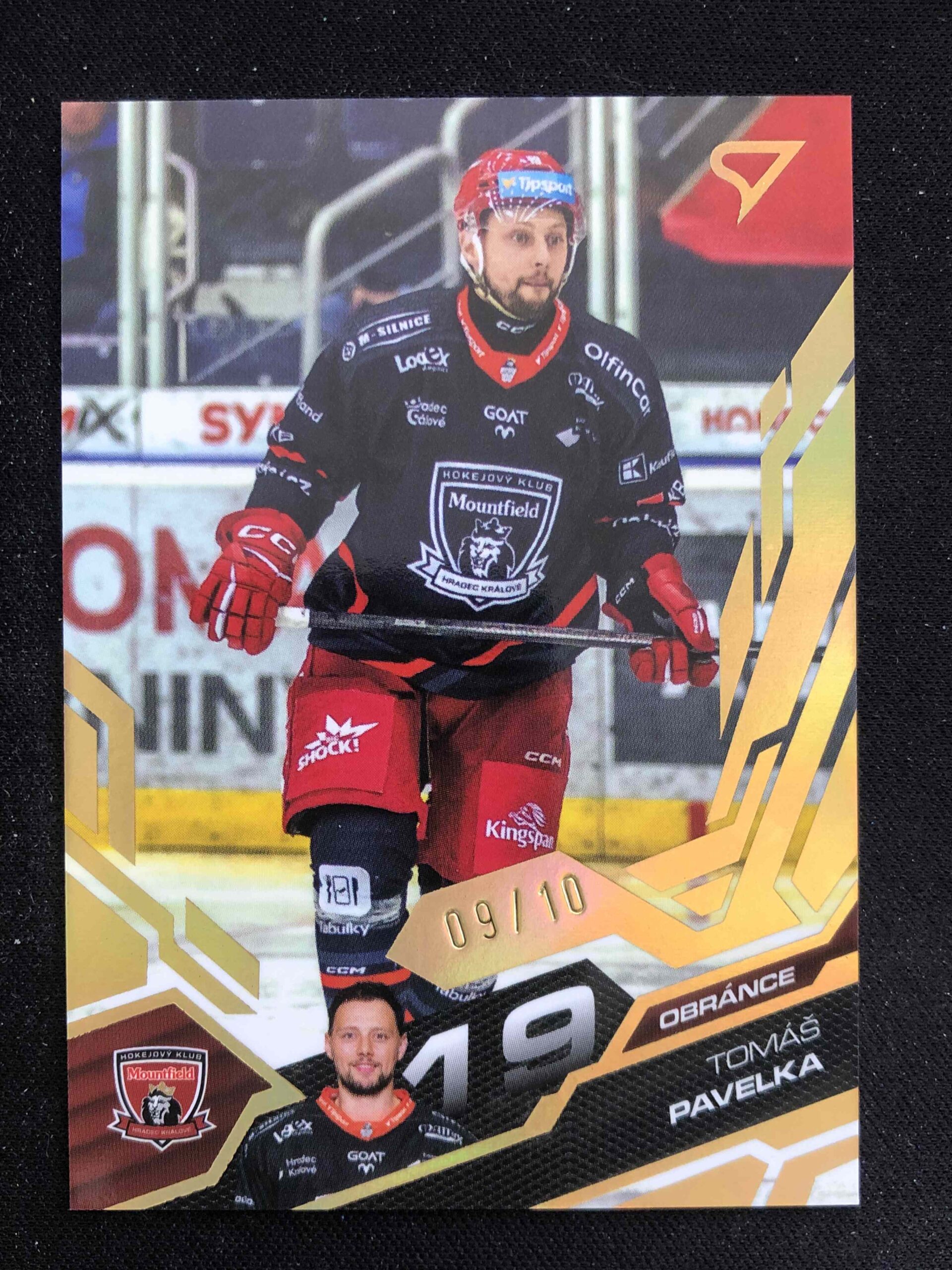 2025/2026 Sportzoo Play Off Base Update Amber Gold 380 Tomáš Pavelka Paralel 09/10