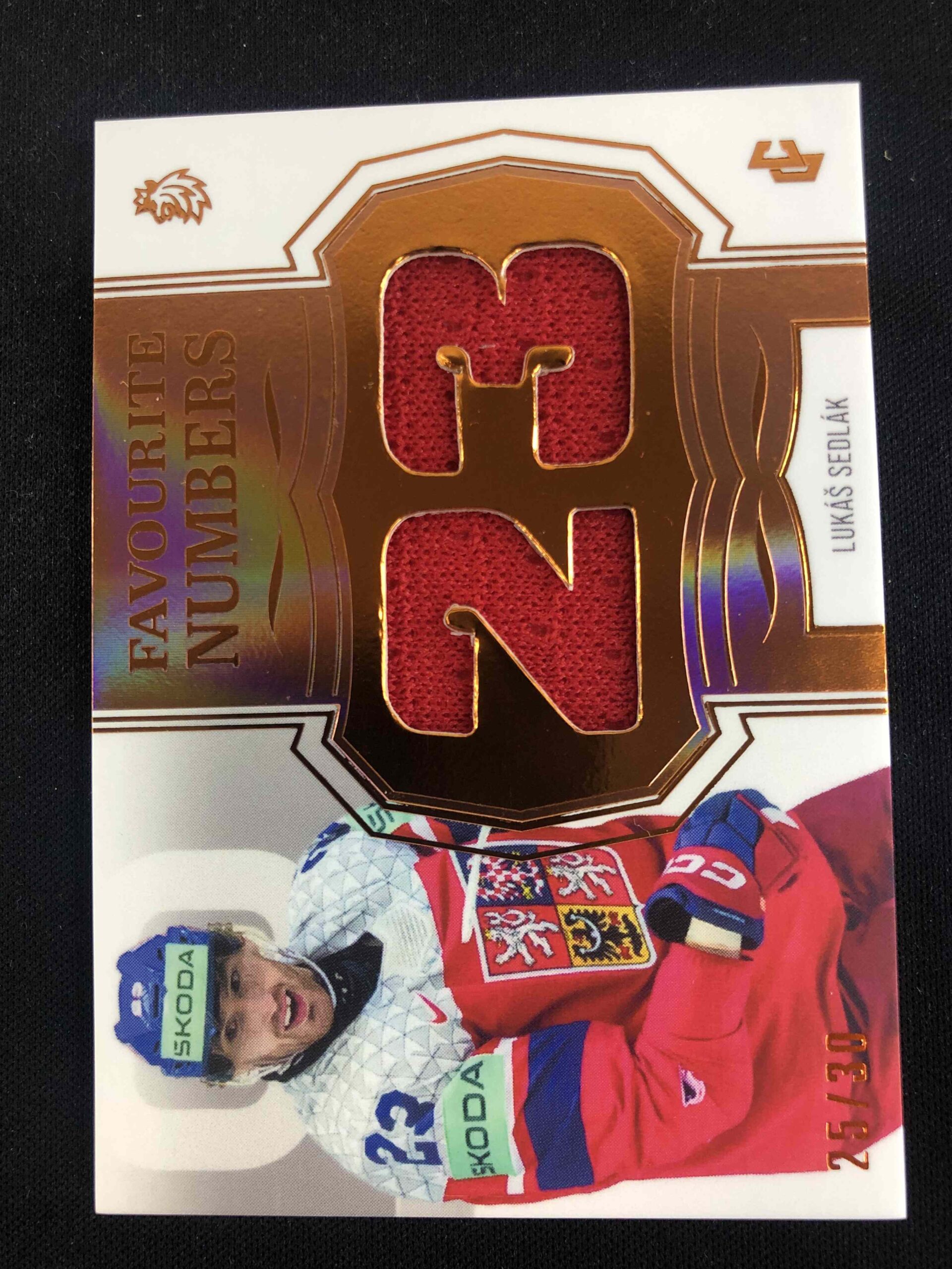 2024/2025 Legendary Cards Series 2 Favourite Numbers FN-11 Lukáš Sedlák Jersey 25/30