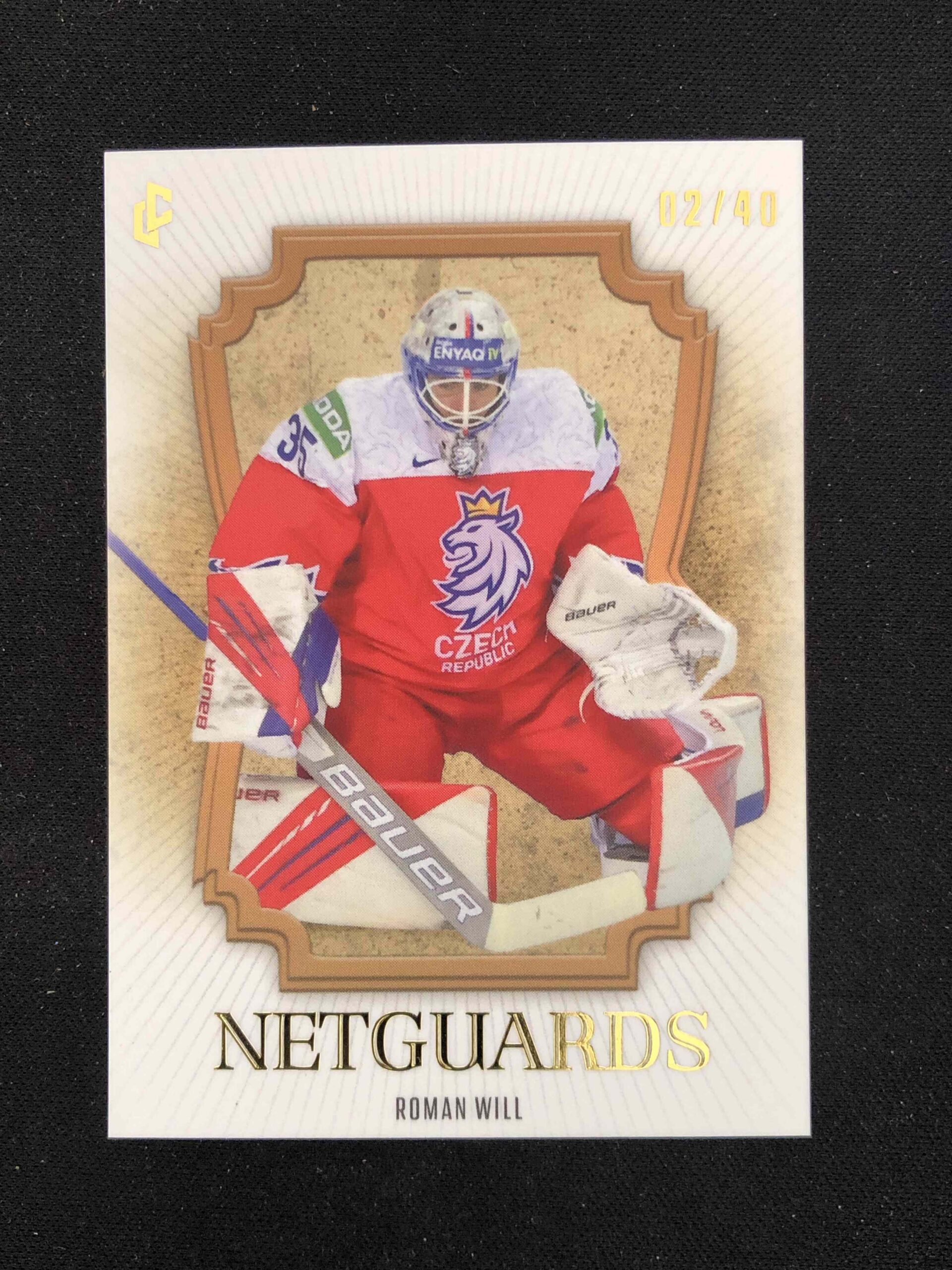 2024/2025 Legendary Cards Series 2 Netguards Gold NG-32 Roman Will Inzert 02/40