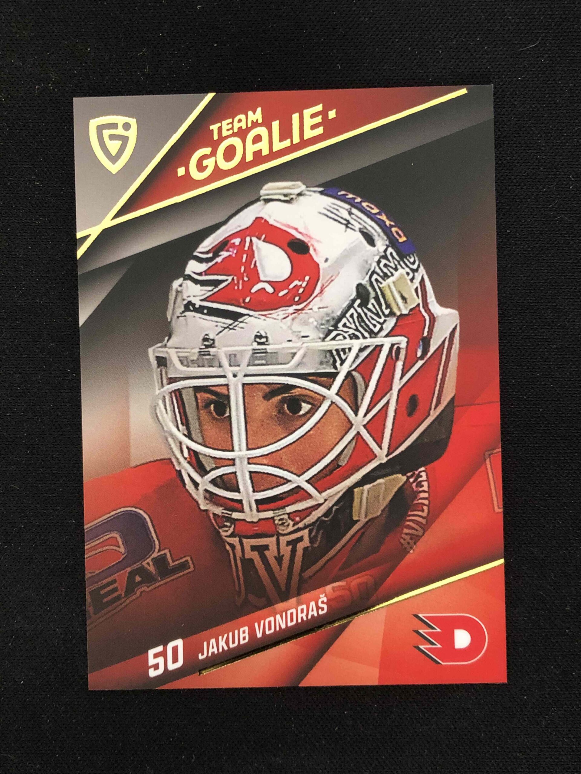 2025/2026 Goal Serie 2 Team Goalie TG-35 Jakub Vondraš Inzert