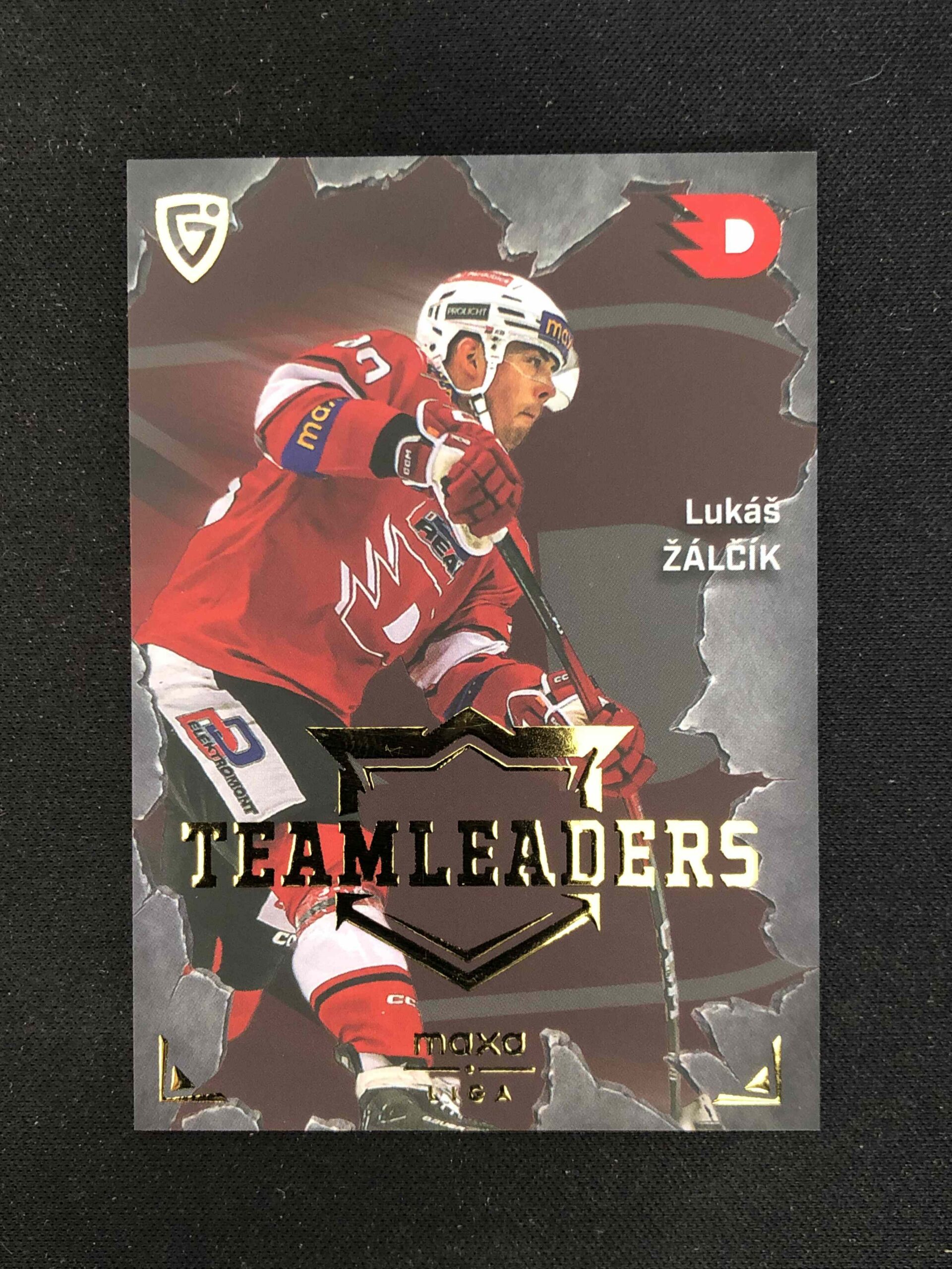 2025/2026 Goal Serie 2 Teamleaders TL-21 Lukáš Žálčík Inzert