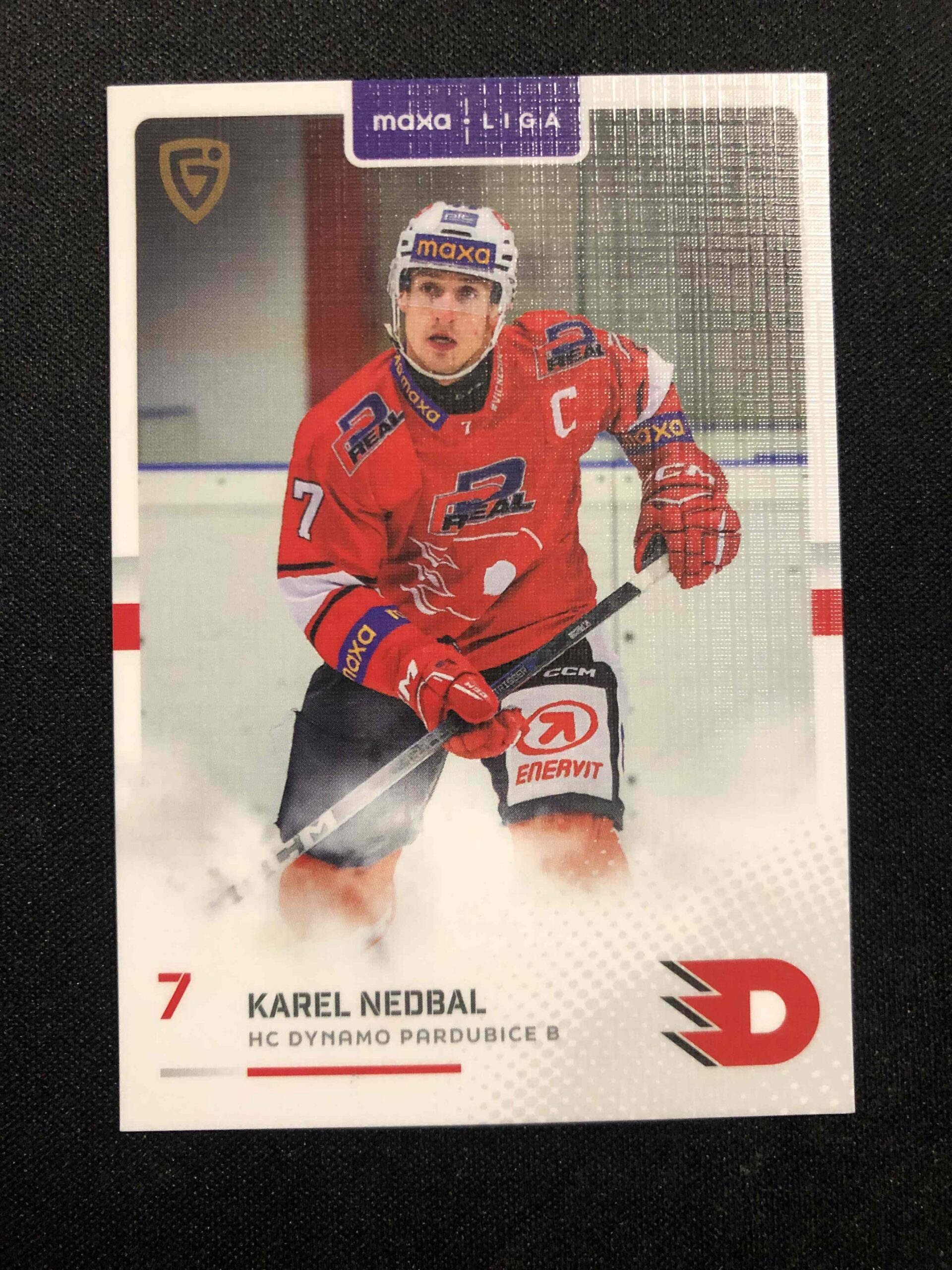 2025/2026 Goal Serie 2 Canvas PCE-05 Karel Nedbal Paralel