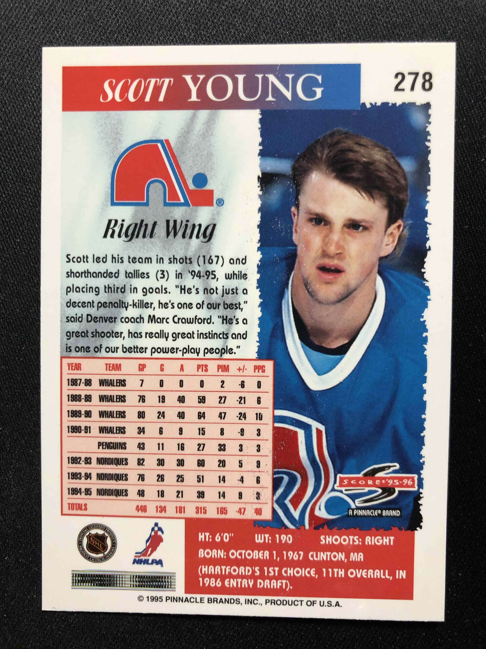 1995/1996 Pinnacle Score Base 278 Scott Young - Obrázek 2