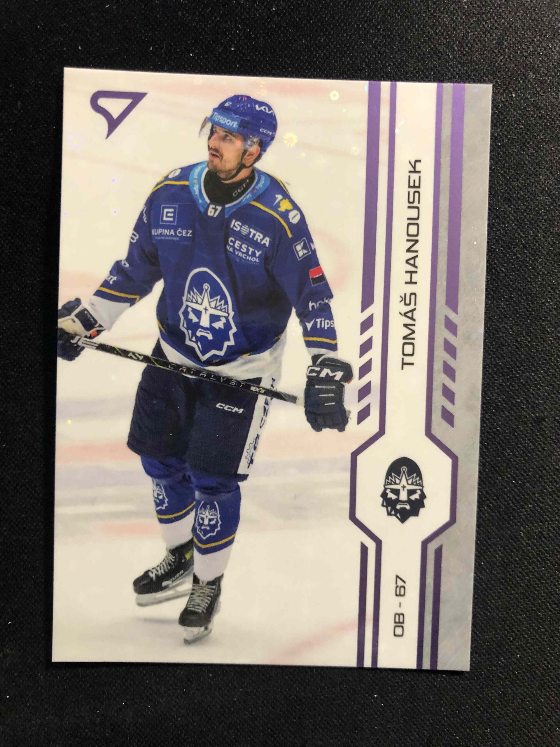 2024/2025 Sportzoo Serie 1 Puck Marks 237 Tomáš Hanousek Paralel